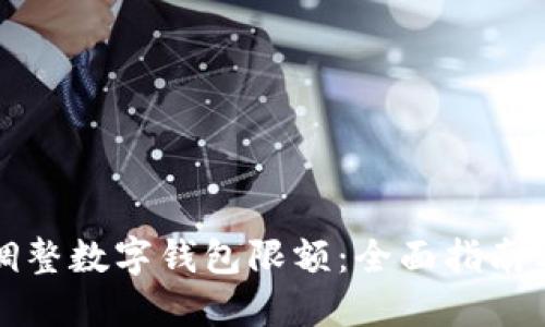 如何灵活调整数字钱包限额：全面指南与实用技巧