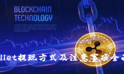 TPWallet提现方式及注意事项全面解析