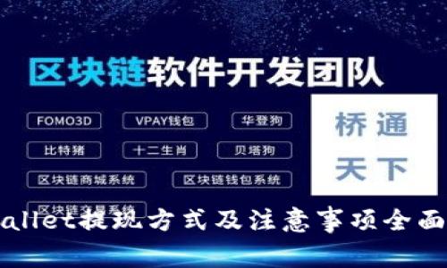 TPWallet提现方式及注意事项全面解析