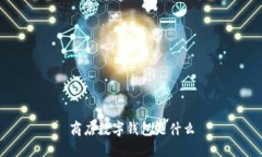 商店数字钱包是什么