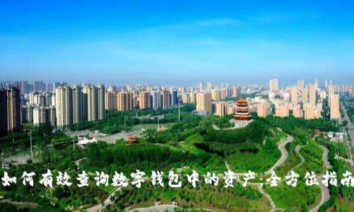如何有效查询数字钱包中的资产：全方位指南