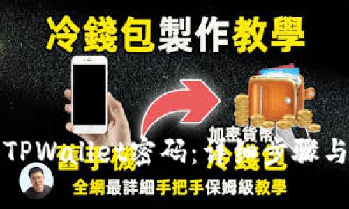 如何正确输入TPWallet密码：详细步骤与常见问题解答