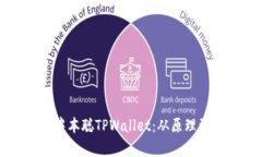 全方位深度解析中本聪T