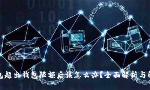 数字钱包超出钱包限额后该怎么办？全面解析与解决方案
