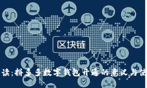 全面解读：拼多多数字钱包开通的意义与使用指南