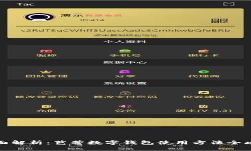 全面解析：芭蕾数字钱包使用方法全攻略