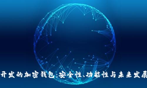 国内开发的加密钱包：安全性、功能性与未来发展趋势