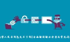 数字人民币钱包充不了钱