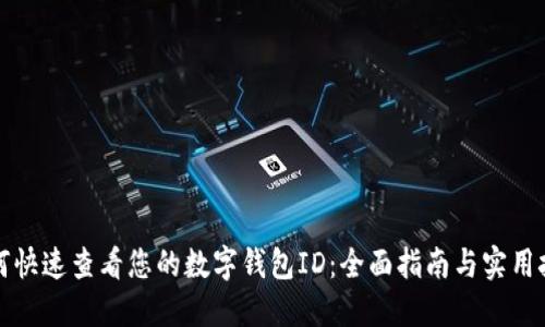 如何快速查看您的数字钱包ID：全面指南与实用技巧