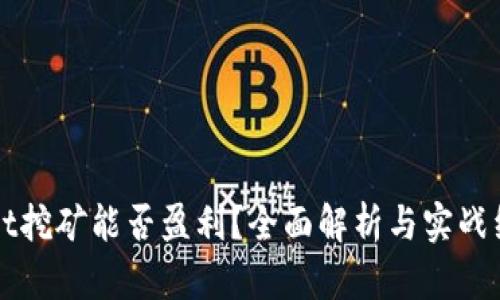 TPWallet挖矿能否盈利？全面解析与实战经验分享