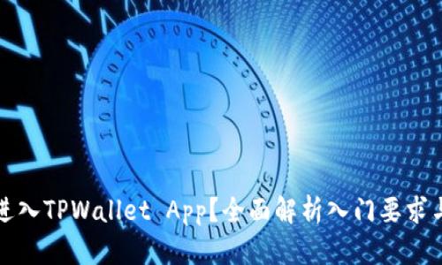 如何顺利进入TPWallet App？全面解析入门要求与使用技巧
