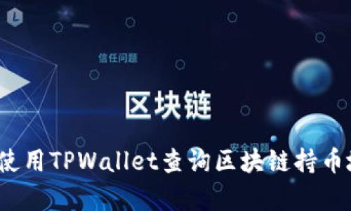 深入解析：如何使用TPWallet查询区块链持币地址的完整指南
