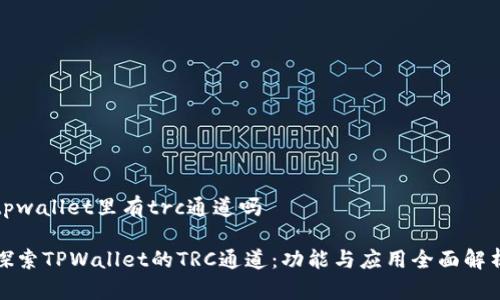 tpwallet里有trc通道吗

探索TPWallet的TRC通道：功能与应用全面解析