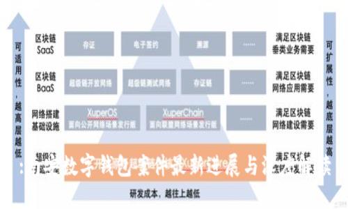 :南安数字钱包案件最新进展与深度解读