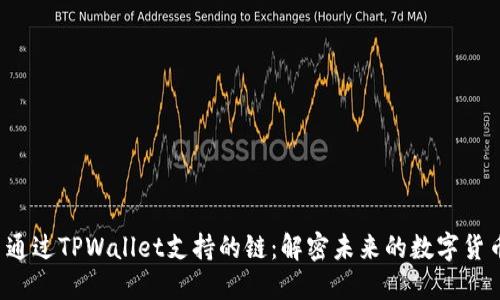 FIL币通过TPWallet支持的链：解密未来的数字货币生态