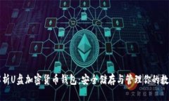 全面解析U盘加密货币钱包