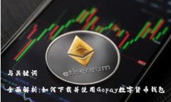 与关键词全面解析：如何