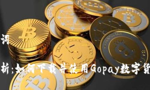 与关键词

全面解析：如何下载并使用Gopay数字货币钱包