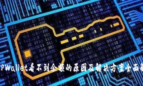 : TPWallet看不到余额的原因及解决方案全面解析