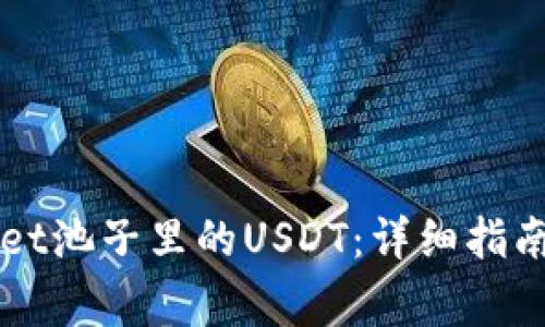 如何找回TPWallet池子里的USDT：详细指南与常见问题解答
