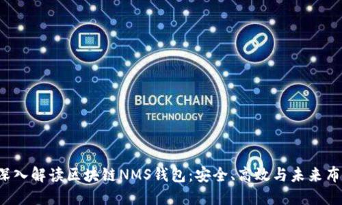  深入解读区块链NMS钱包：安全、高效与未来布局