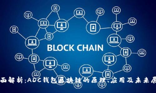 全面解析：ADC钱包区块链的原理、应用及未来展望