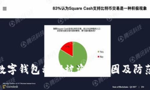 揭秘数字钱包私钥被盗的原因及防范措施