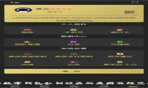 揭秘数字钱包私钥被盗的原因及防范措施