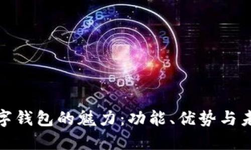 探索老版数字钱包的魅力：功能、优势与未来发展趋势