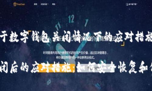 这是一个关于数字钱包关闭情况下的应对措施的全面指南

数字钱包关闭后的应对措施：如何安全恢复和保护资产