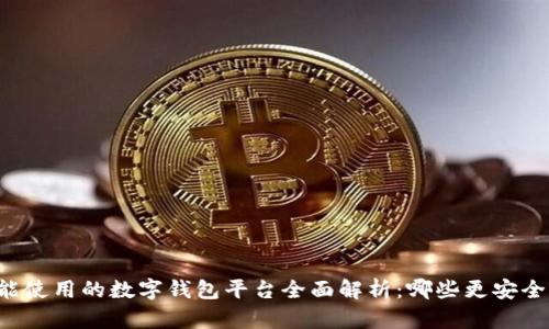 国内还能使用的数字钱包平台全面解析：哪些更安全更便捷？