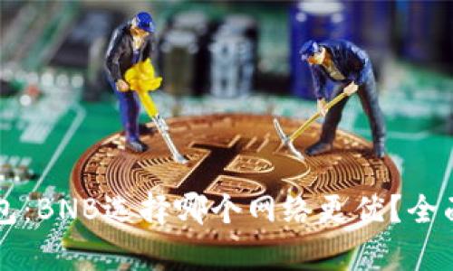 提币到TP钱包：BNB选择哪个网络更优？全面解析与指导