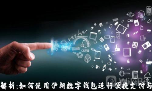 
全面解析：如何使用伊朗数字钱包进行便捷支付与管理