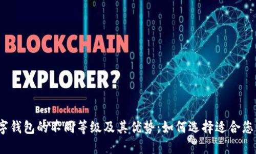 探索银行数字钱包的不同等级及其优势：如何选择适合您的数字钱包？