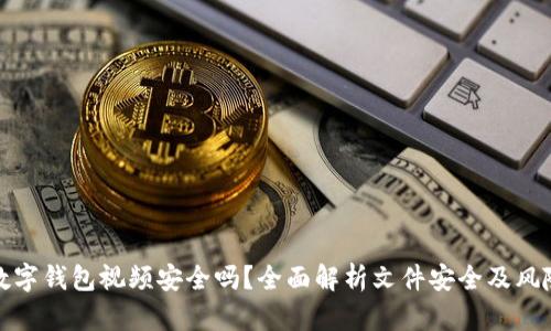 下载数字钱包视频安全吗？全面解析文件安全及风险防控