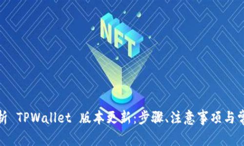 : 全方位解析 TPWallet 版本更新：步骤、注意事项与常见问题解答