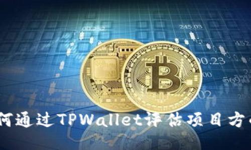 : 深入探讨：如何通过TPWallet评估项目方的可靠性与潜力