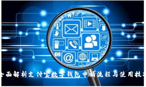 全面解析支付宝数字钱包申请流程与使用技巧