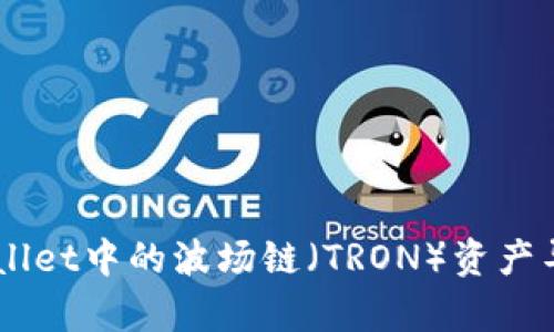 全面解析：如何将TPWallet中的波场链（TRON）资产导入BK钱包的详细教程