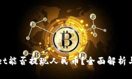 : TPWallet能否提现人民币？全面解析与实用指南