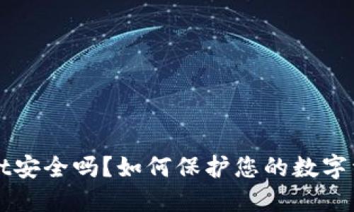 TPWallet安全吗？如何保护您的数字资产隐私