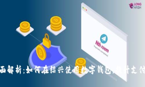 : 全面解析：如何在绍兴使用数字钱包，提升支付体验