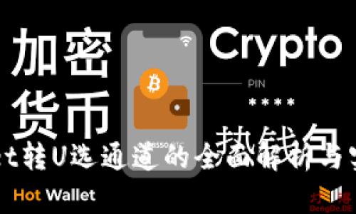TPWallet转U选通道的全面解析与实用指南