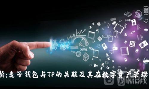  深入解析：麦子钱包与TP的关联及其在数字资产管理中的影响