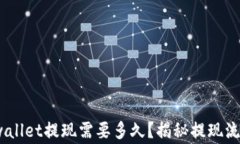 完美指南：tpwallet提现需要