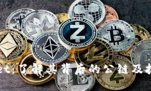 TPWallet：了解其背后的公链及技术架构