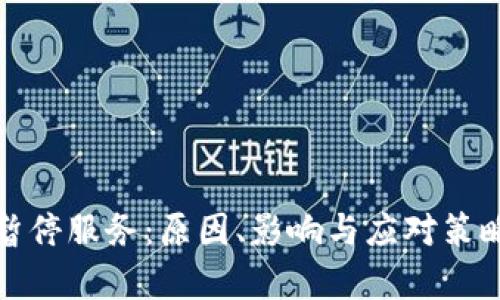 数字钱包暂停服务：原因、影响与应对策略全面解析