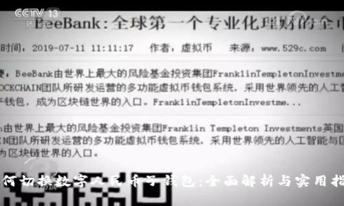如何切换数字人民币子钱包：全面解析与实用指南