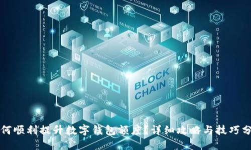 如何顺利提升数字钱包额度？详细攻略与技巧分享