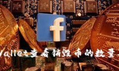 如何通过TPWallet查看销毁币